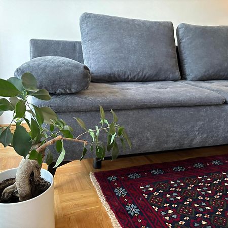 Ljubljanica Apartment Lublaň Exteriér fotografie
