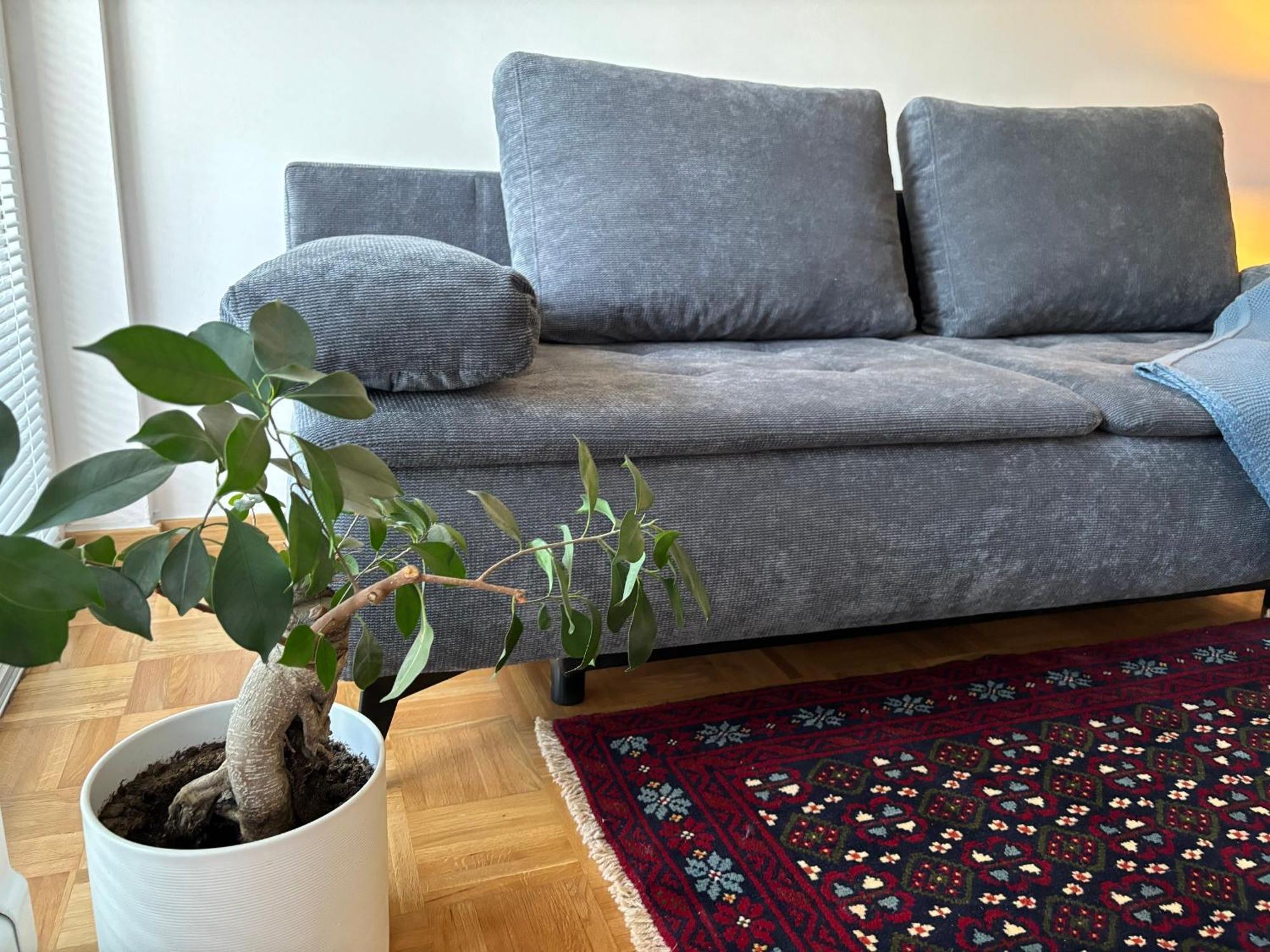 Ljubljanica Apartment Lublaň Exteriér fotografie