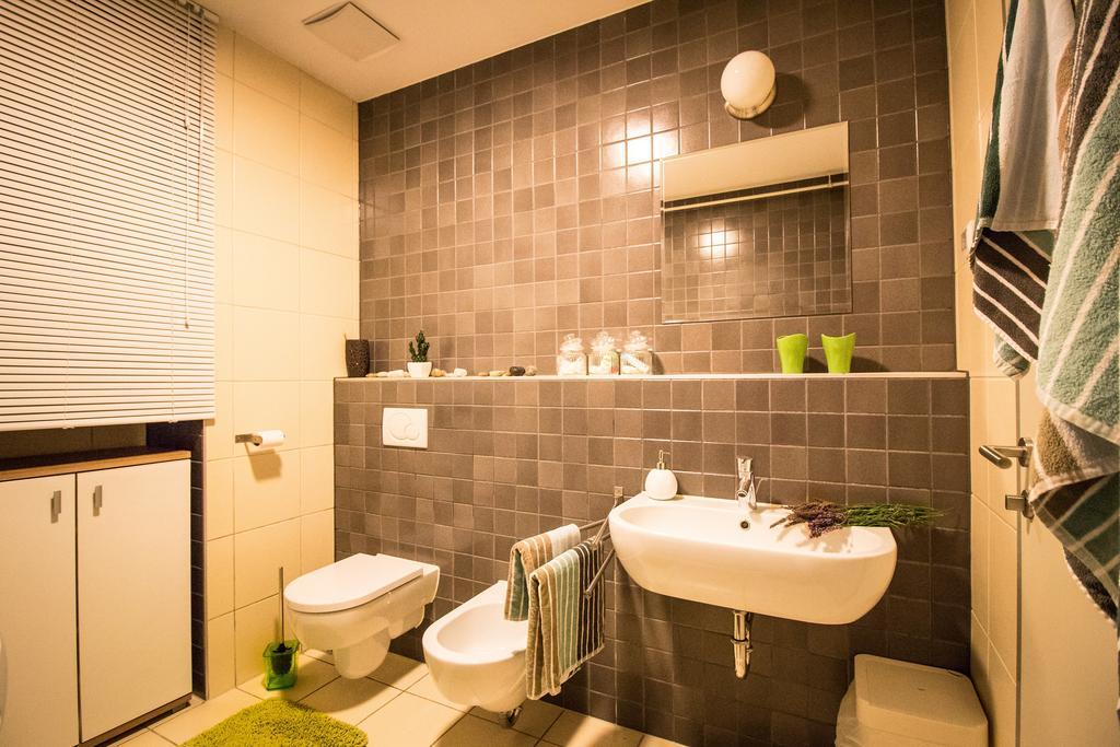 Ljubljanica Apartment Lublaň Exteriér fotografie
